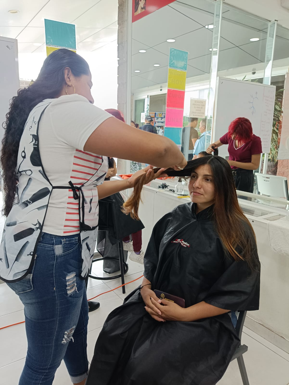 Diplomado de Alaciados