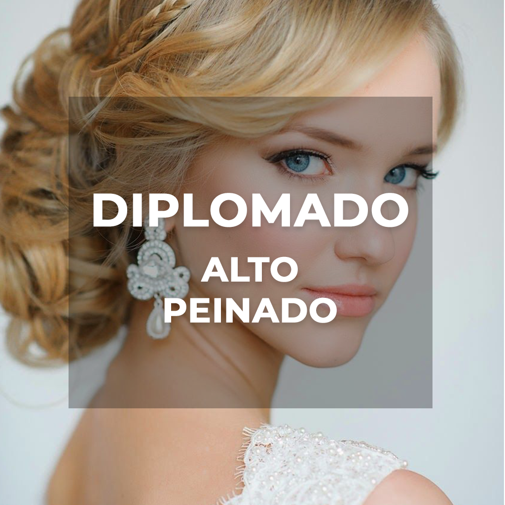 Diplomado Alto Peinado